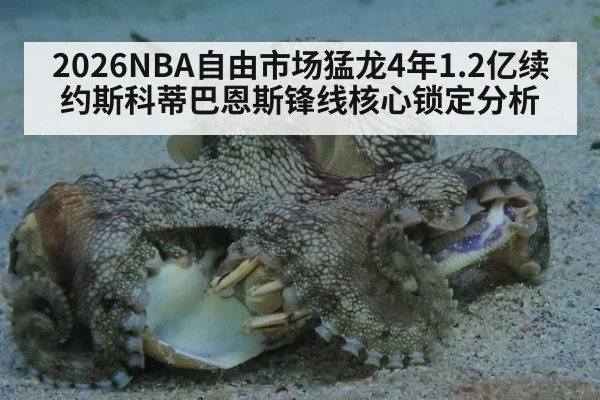 2026NBA自由市场猛龙4年1.2亿续约斯科蒂巴恩斯锋线核心锁定分析