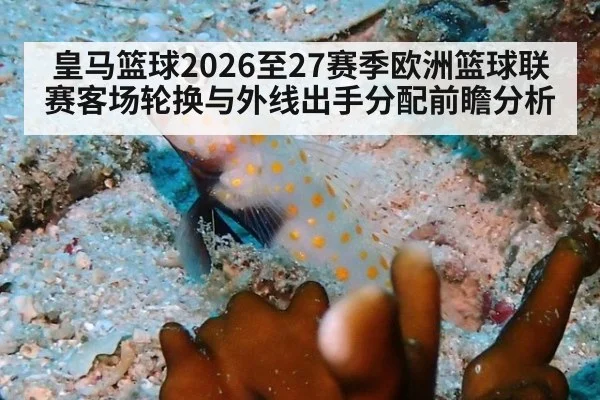 皇马篮球2026至27赛季欧洲篮球联赛客场轮换与外线出手分配前瞻分析